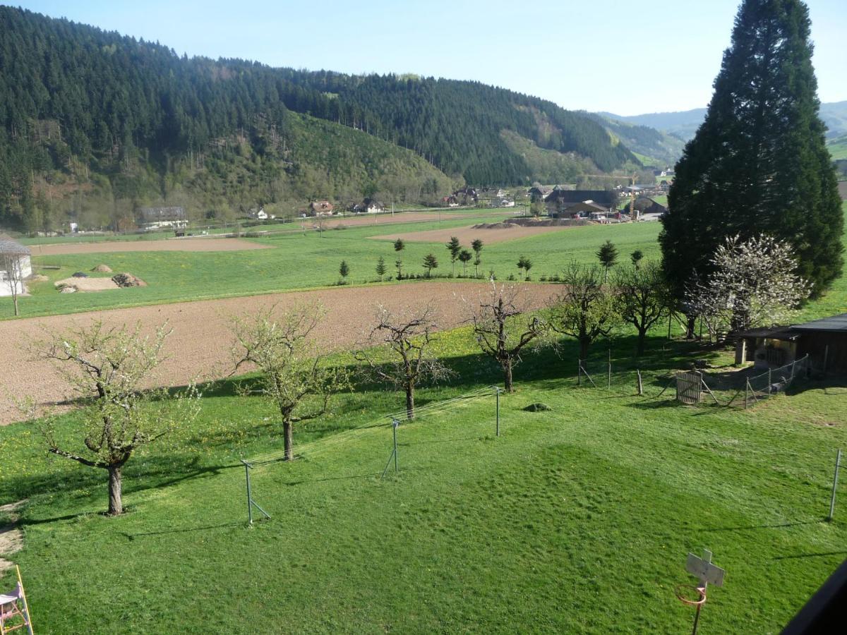 Lehmannshof Ferienwohnungen Zell am Harmersbach Exterior foto